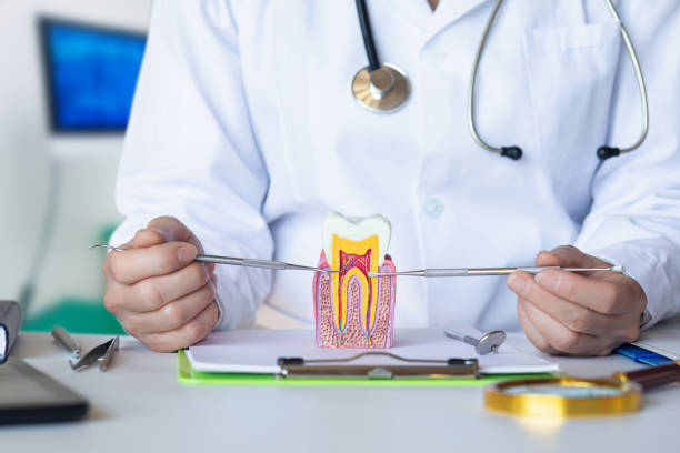 Best After-Hours Emergency Dentist in Contra Costa Centre, CA